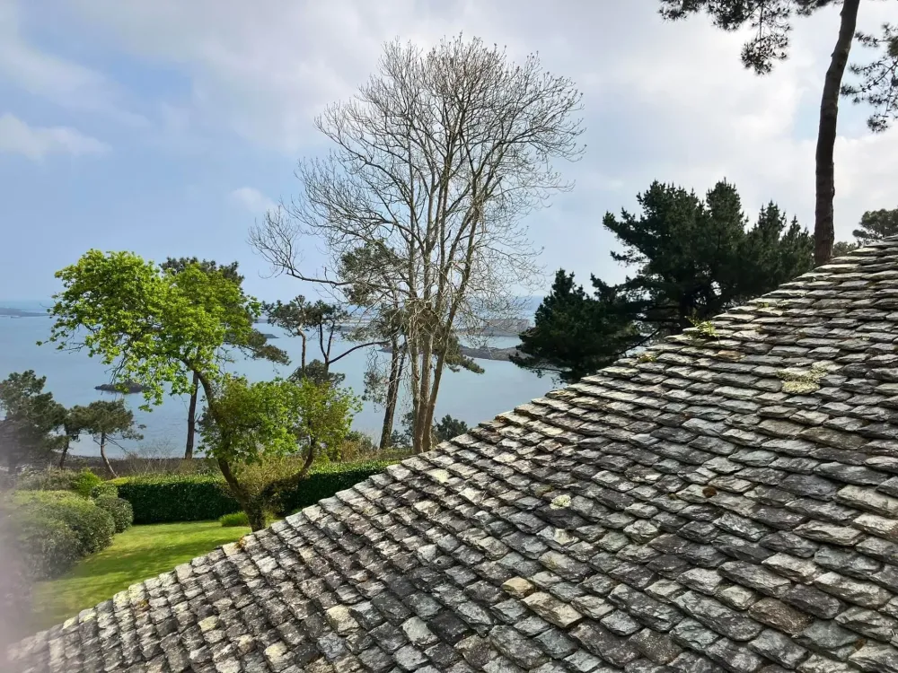 Démoussage de toiture dans le Finistère